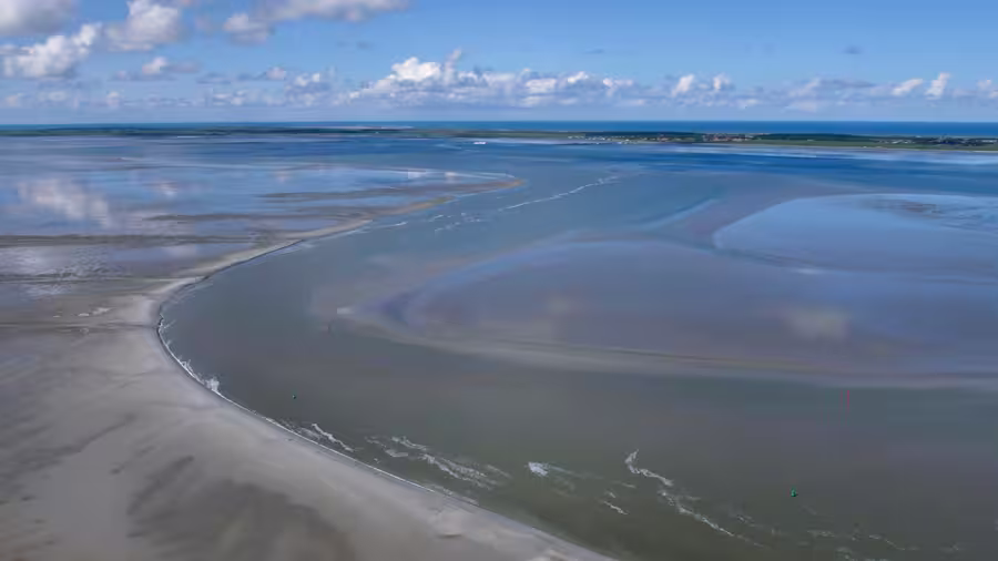 Dagtrip Den Helder - Terschelling per Rib via de Waddenzee